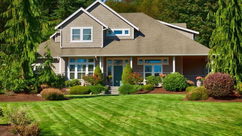 Landscaped front yard with green lawn and shrubs